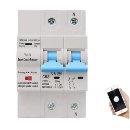 Disyuntor Interruptor 10-63A Termica 2P Inteligente Smart Wifi